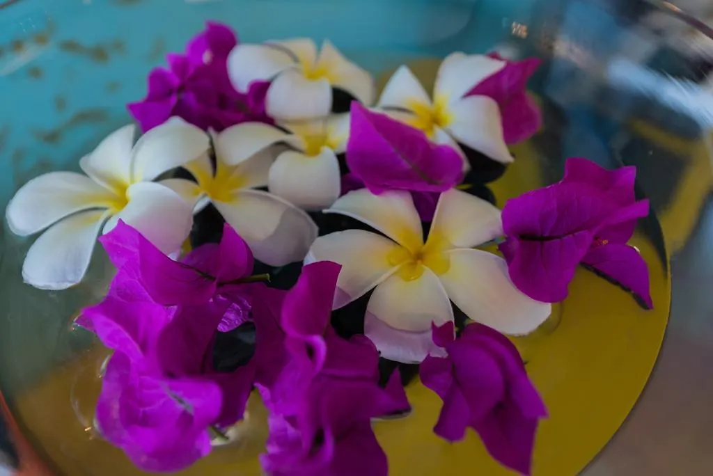 Hotel Villa Lodge 4 Epices Gustavia